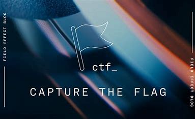 Capture The Flag (CTF) Challenges